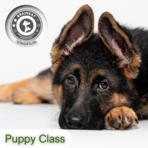 Puppy class