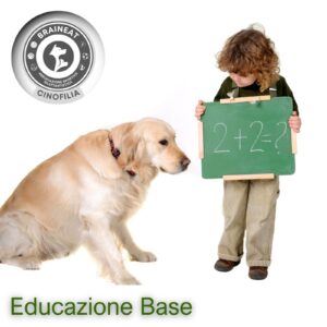 Educazione Base