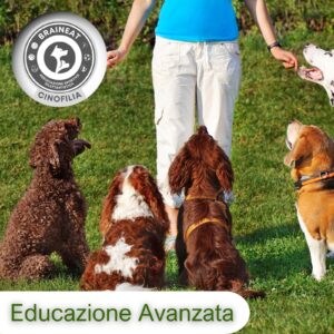 Educazione Avanzata