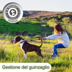 Gestione Del Guinzaglio